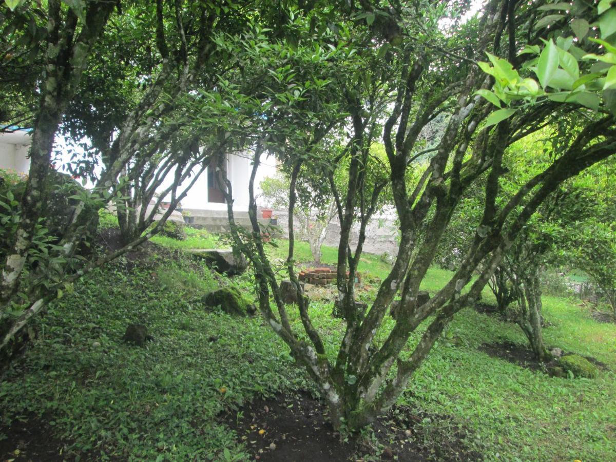 Casa Martin En Banos De Agua Santa Villa Bagian luar foto